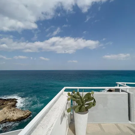 Wepuglia - Donna Carla *